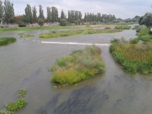 Река Марица се покачи с половин метър!