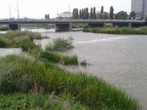 Остава опасността от преливане на р. Марица при Пловдив
