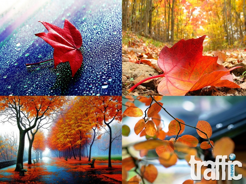 Невероятни есенни снимки