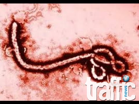 Нови четирима болни от ебола в Испания