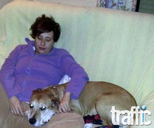 Убиха Ескалибур, кучето на испанската медицинска сестра, заразила се с ебола