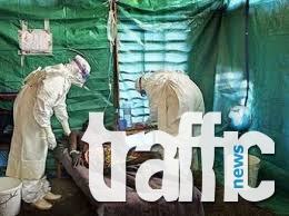 Ебола стигна до границата с България