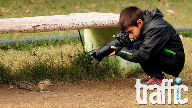 9-годишно момче спечели конкурс за най-добър фотограф на дивата природа СНИМКИ