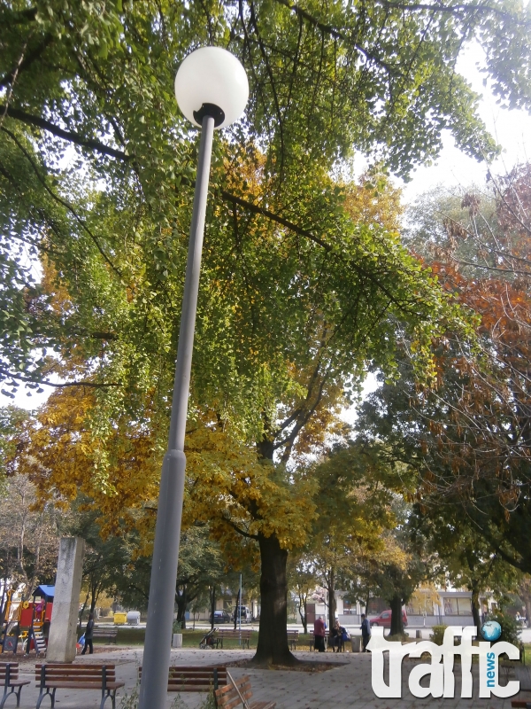 Паркът в квартал 