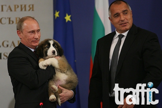 Кучето на Бойко Борисов и лицето на Путин станаха лица на шоколади! ВИДЕО! 