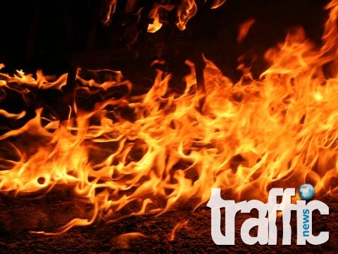 4-годишно загина в пожар 