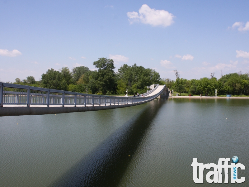 Кефали и толстолоби ловят на Гребната база 
