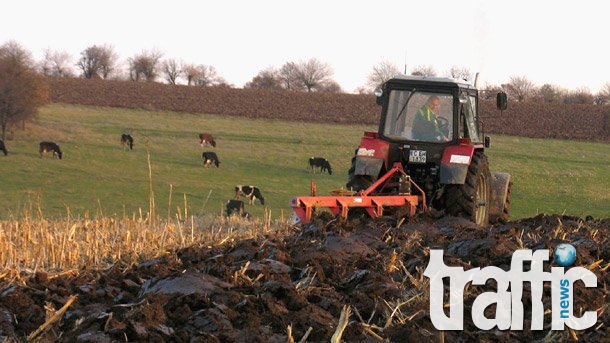 300 лева ще е минималният осигурителен доход на земеделците!