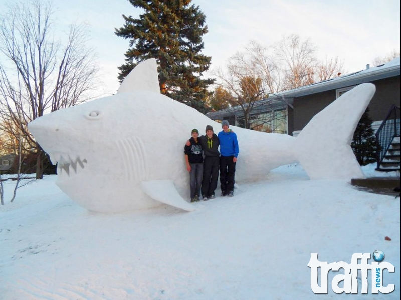 Братя създават огромни скулптури от сняг