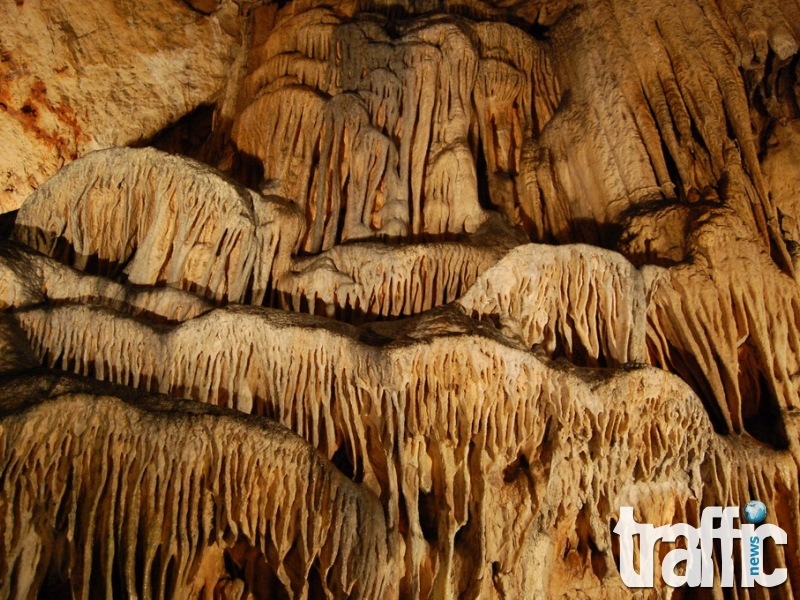 Предлагат пещерата Магура за включване в списъка на ЮНЕСКО