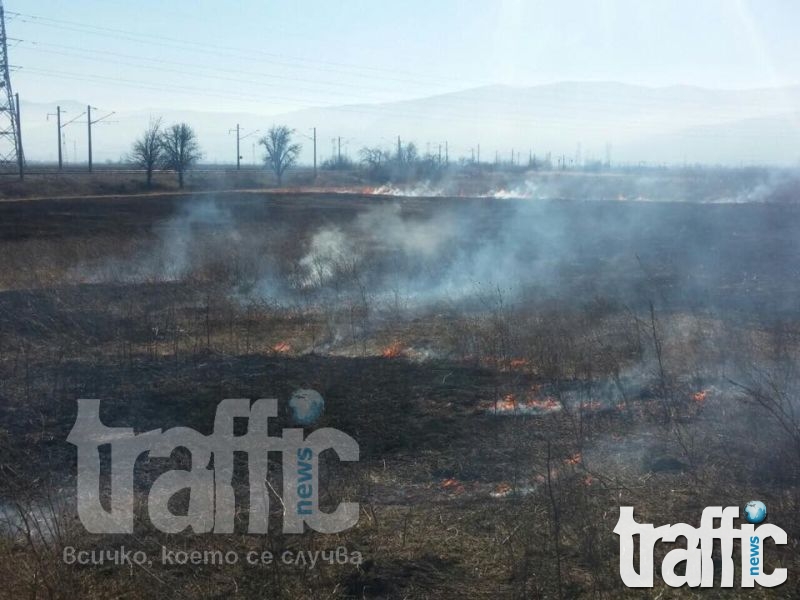 Пламъци обхванаха тревите в 