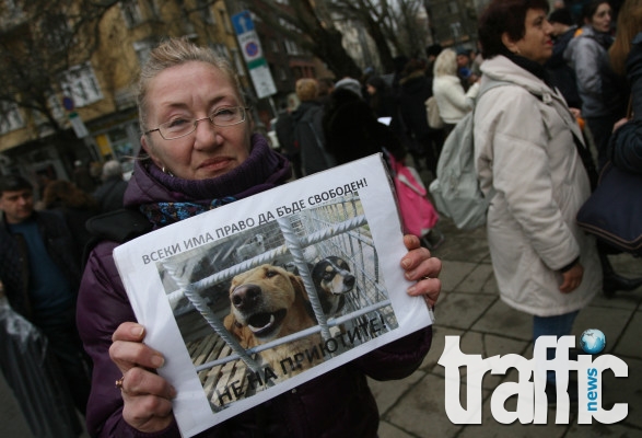 Организации за защита на животните на протест