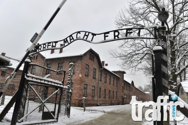 Днес се навършва годишнина от освобождаването на концлагера Аушвиц