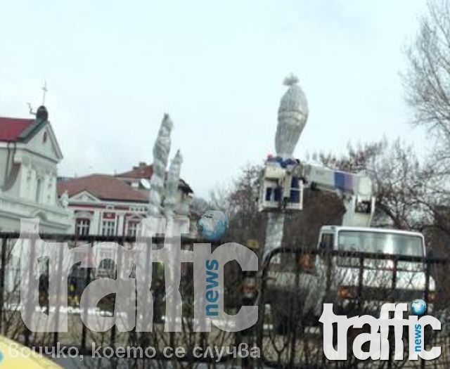 Зарaди студа:Преопаковат палмите в Пловдив
