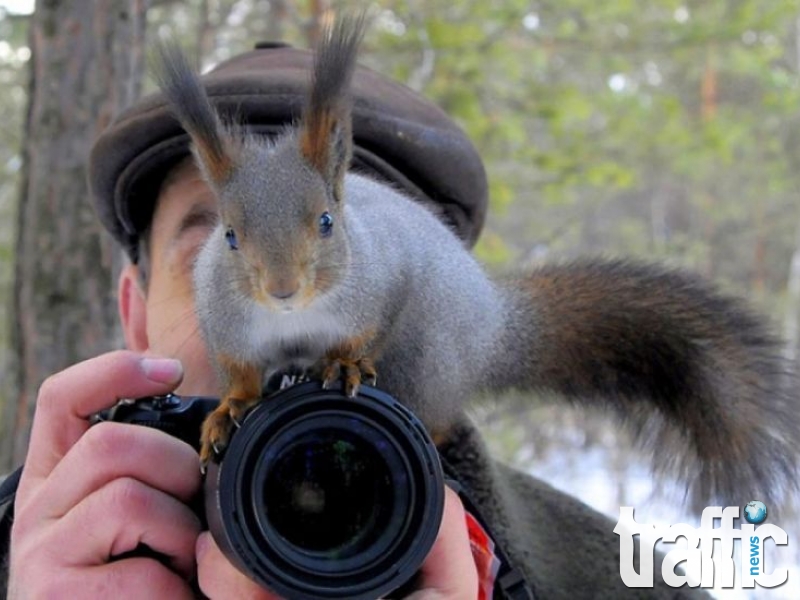 Смешни животинки използват фотографско оборудване СНИМКИ