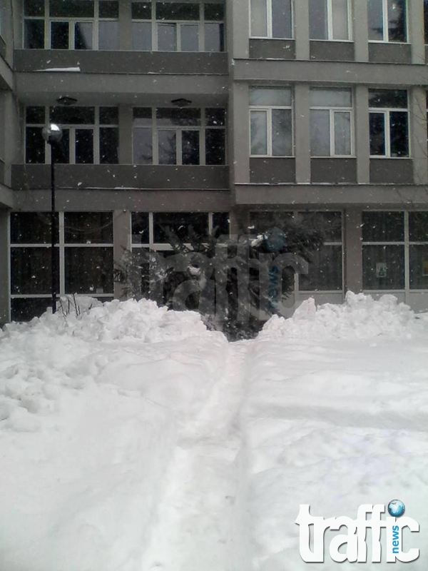 Сградата на Община Батак едва се вижда от преспите сняг! СНИМКИ