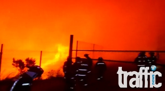 Огромен пожар бушува в Чили СНИМКИ