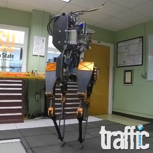Създадоха робот, който се движи с бързината на щраус