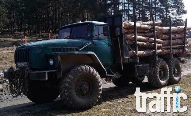 Търговците на дървесина отново скачат срещу забраната за износ