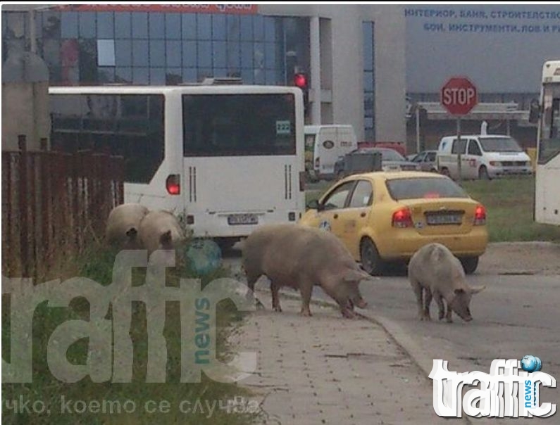 Центърът свети, на входовете на града-тъмница 