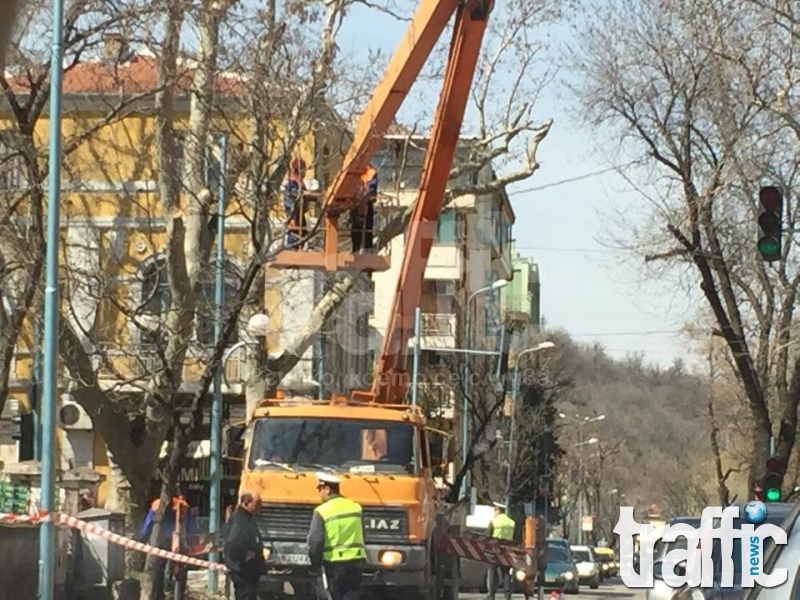 Полицаи и момчета с резачки завардиха улица 