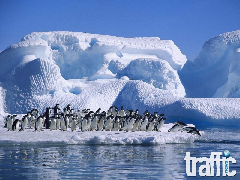 Температурно високи рекорди в Антарктида
