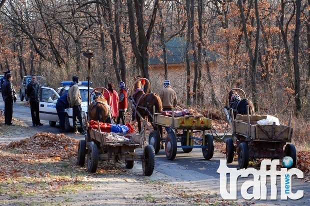 За незаконната сеч вече се обръщаме към 112