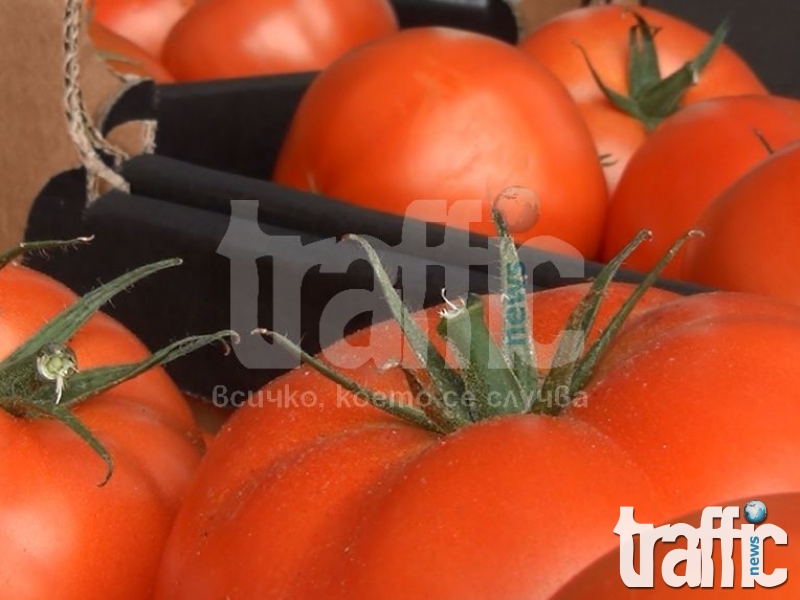 Марулите в Пловдив - 3 лева, доматите до 5! ВИДЕО