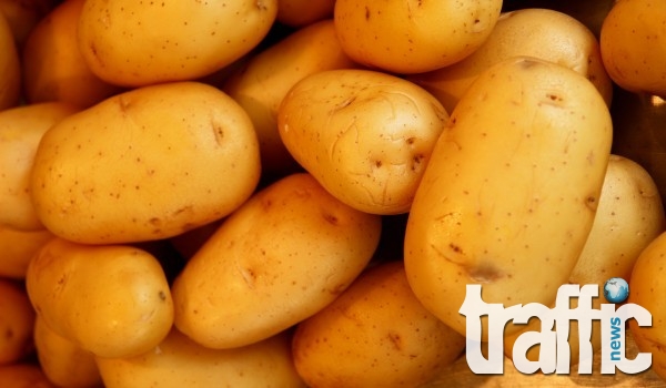 Чужди картофи по 40 стотинки на борсата в Първенец, търговците недоволни ВИДЕО