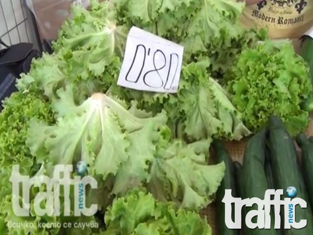 Салатата поевтиня - ето цените на зеленчуците по пловдивските пазари ВИДЕО