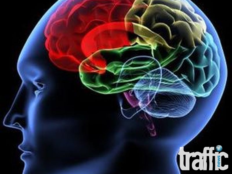 Учени установиха как кокаина действа на мозъка