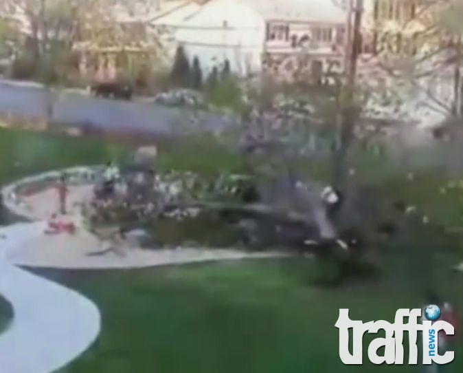 Дърво падна върху детска площадка, рани две деца ВИДЕО