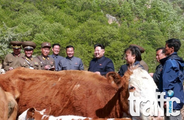 Ким Чен-ун се ухили в кравеферма