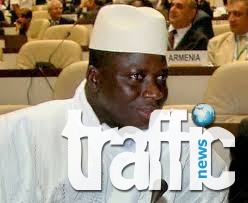 Президентът на Гамбия: Ще прережа гърлата на всички гейове