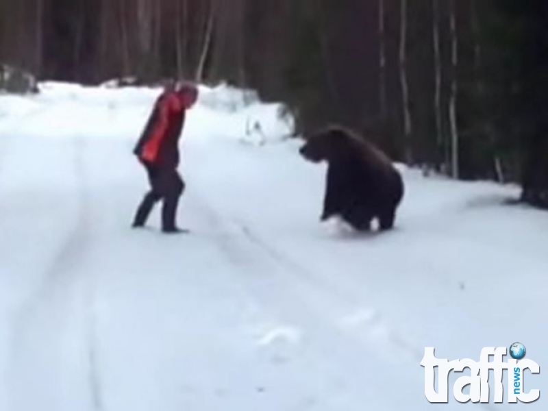 Швед изплаши мечка с мощен рев ВИДЕО