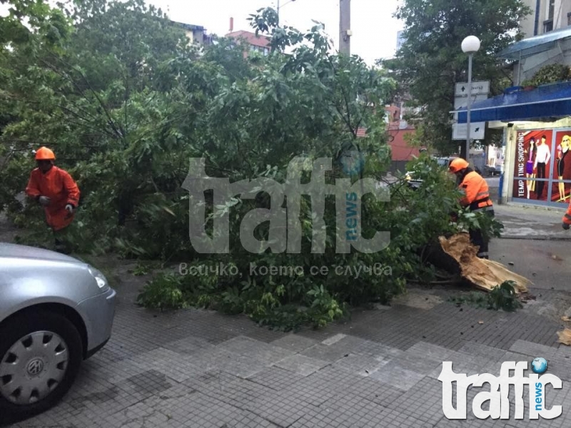 ВИДЕО от пораженията след бурята в Пловдив 