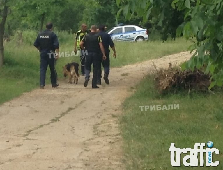 Невиждан екшън става в гората край врачанското село Мраморен