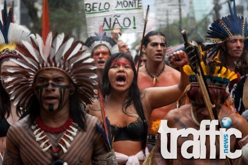 Последните амазонски племена - застрашени от изчезване