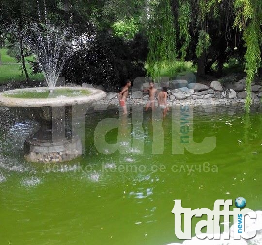Ромчета налазиха фонтана със златните рибки