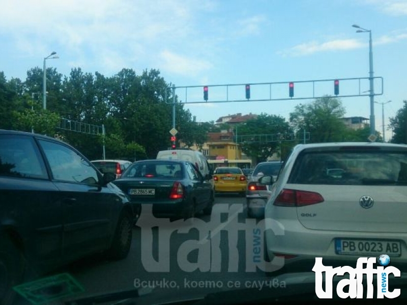 Иван Тотев: 1 милион коли в Пловдив са много, трябва да ги ограничим