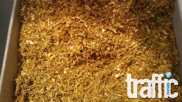 Стамболийски – меката на контрабандния тютюн