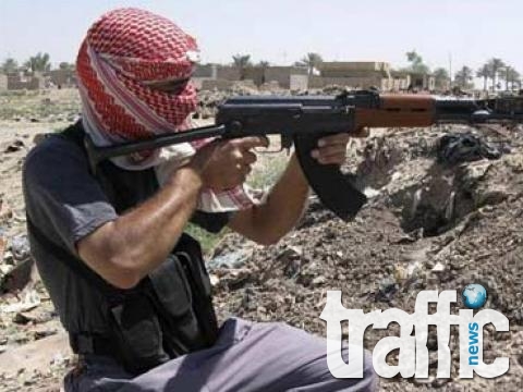 Ал Кайда разпространи видео с шведски заложник, отвлечен през 2011