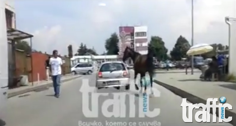 Циганин върза кон за колата си под носа на полицията в Пловдив СНИМКИ и ВИДЕО