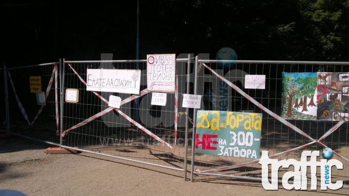 Еколози, екскметица, кандидат-кмет и професионални протестиращи тръгнаха срещу Зоопарка СНИМКИ 