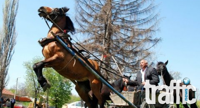 Кон с каруца помете три деца 