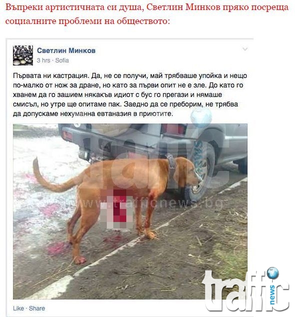 Организират протест срещу изверга, убиващ кучета наред СНИМКИ