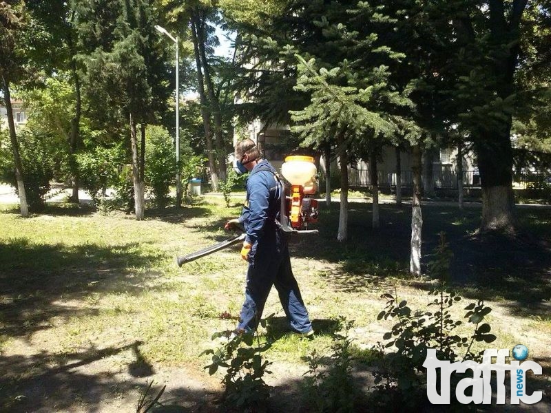 Продължава пръскането срещу комари в Пловдив