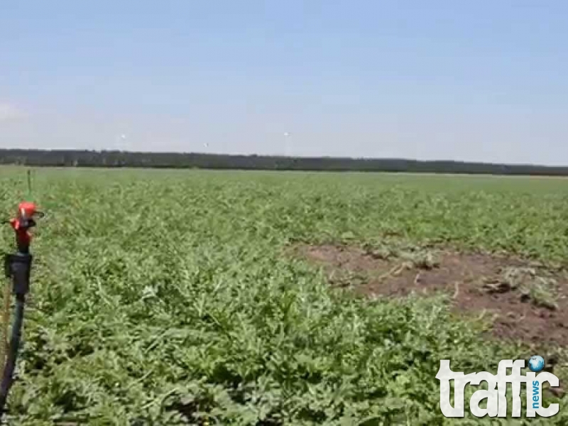 Туроператор изпрати туристи на бостан, вместо в луксозен хотел