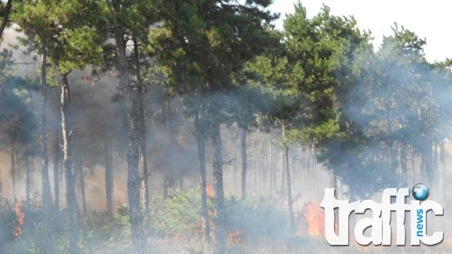 Пожарът в Хасково продължава втори ден