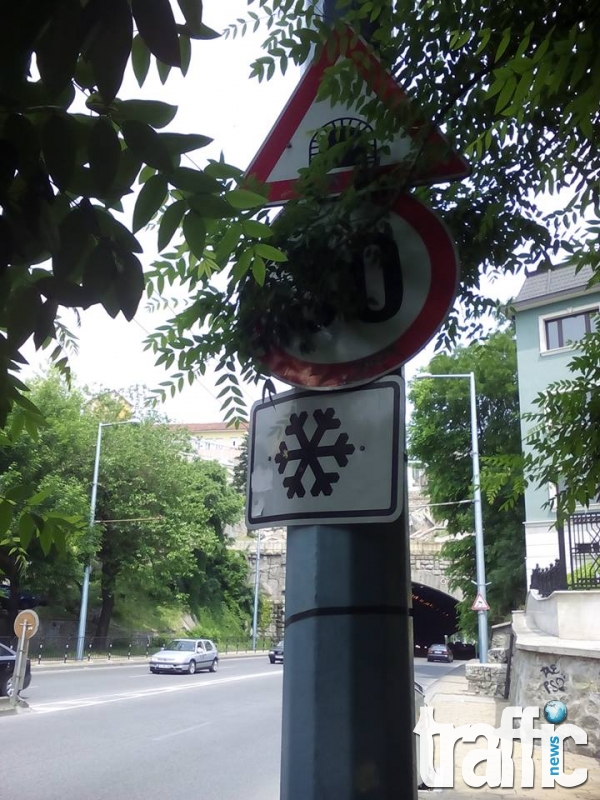 Пътните знаци в Пловдив - вредят или помагат на движението? Ето примери без коментар СНИМКИ ВИДЕО